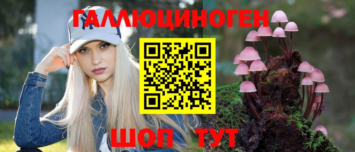 Галлюциногенные грибы Cubensis Сызрань