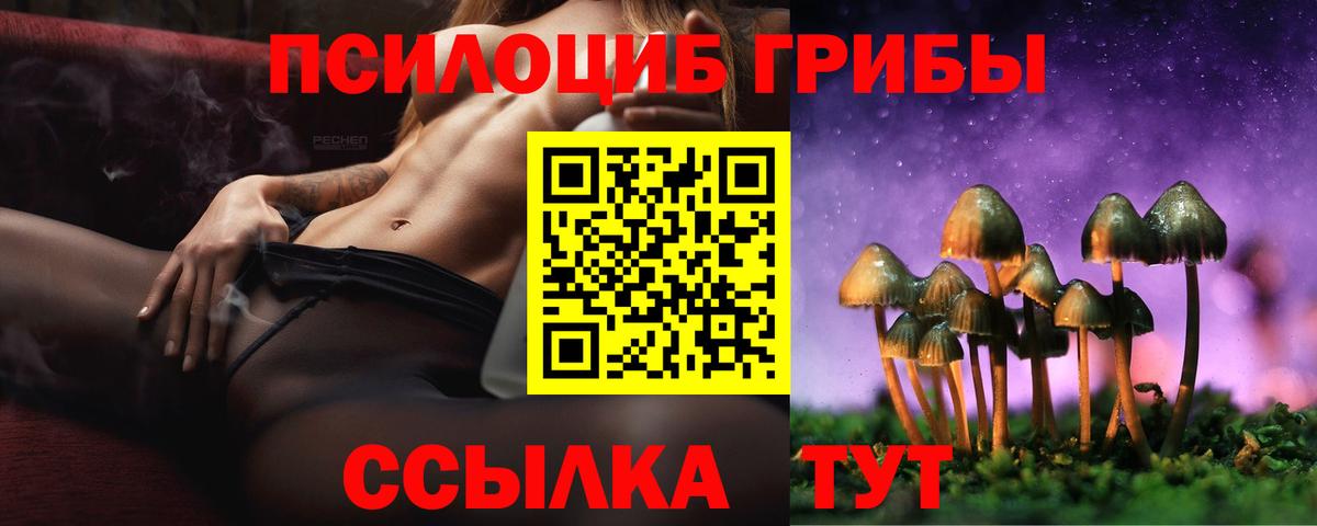 Сызрань  Галлюциногенные грибы Cubensis  Вход с VPN  Псилоцибиновые грибы GOLDEN TEACHER 